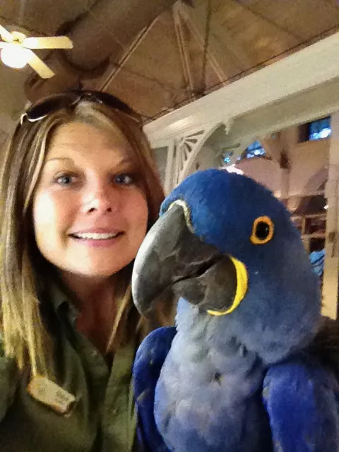 Shiloh Keuler with a blue hyacinth macaw as a zookeeper