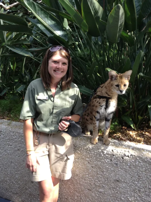 Shiloh Keuler walking a serval cat on a leash as a zookeeper